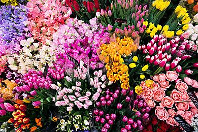 万代南梦宫《沙漠大冒险》试玩版提供下载